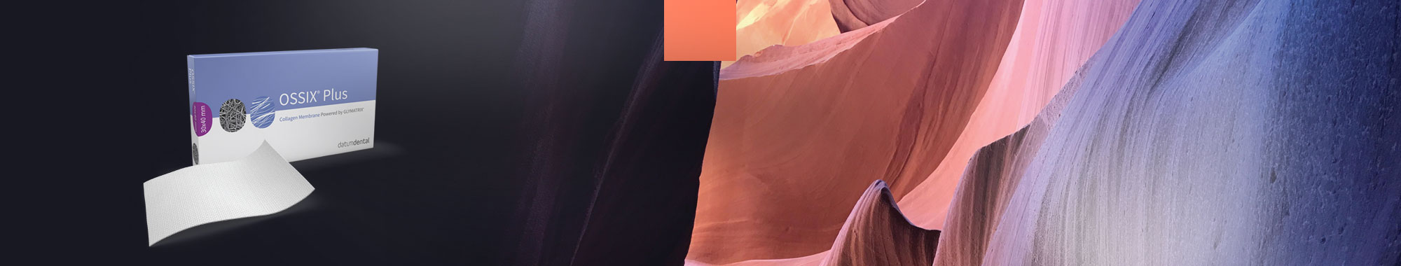OSSIX® Plus