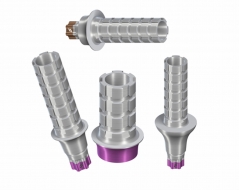 Temporary Abutments BLX