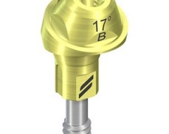 NC SRA,17°,Ø 4.6mm, 2.5mmH B sterile