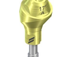 NC SRA,17°,Ø 4.6mm, 4mmH  A sterile