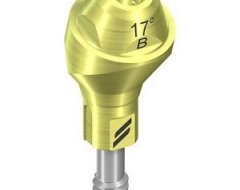 NC SRA,17°,Ø 4.6mm, 4mmH  B sterile