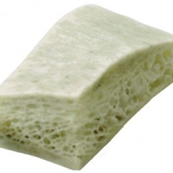 LifeNet- Block